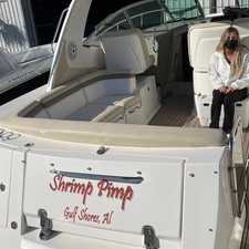 Sea Ray 370 Sundancer