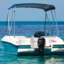 Bayliner Element