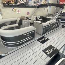 Sylvan 8520 Party Fish