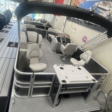 Sylvan 8520 Party Fish