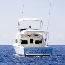 Bertram 28 Flybridge