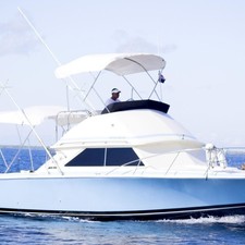 Bertram 28 Flybridge