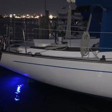 Morgan 382