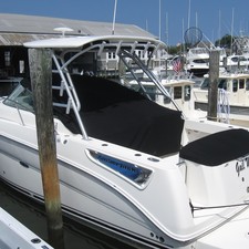 Sea Ray 290 Amberjack
