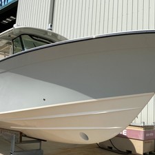 Grady-White Canyon 336