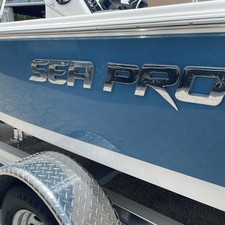 Sea Ray pro 208 bay