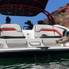 Yamaha 242X E-Series