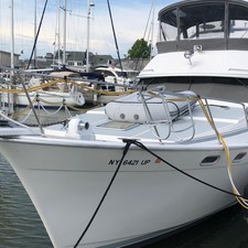 Bayliner 3888 Motoryacht