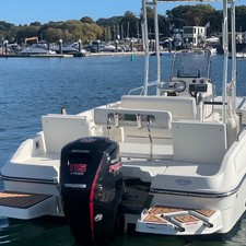 Bayliner Element CC7