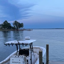 Sea Fox 288 Commander