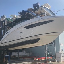 Sea Ray 260 Sundancer