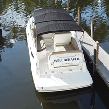 Sea Ray 260 Sundancer
