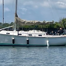 Island packet ip31
