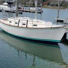Island packet ip31