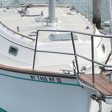 Island packet ip31