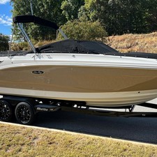 Sea Ray 250 SDX