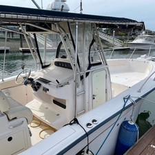 Grady white 306 bimini cc