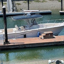 Grady white 306 bimini cc