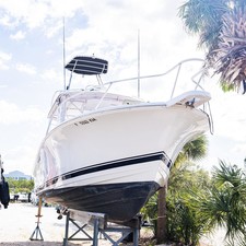 Luhrs 290 open