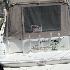 Sea Ray Sundance 300