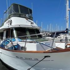 Marine Trader Europa Sedan Trawler