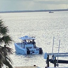 Renaissance 31