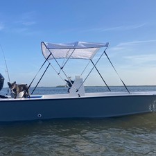 Skiff 19