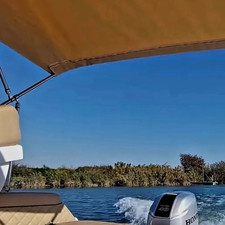 Salpa Gran Soleil 23