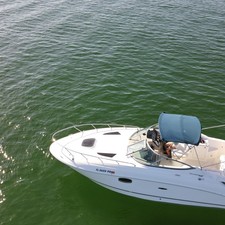 Sea Ray 260 Sundancer