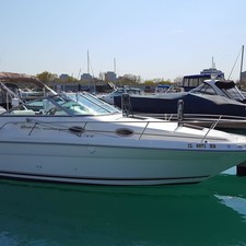 Sea ray sundancer