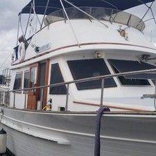 Albin Marine 36 trawler