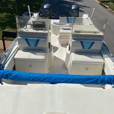 Twin vee 26 family fisherman