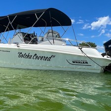 Boston Whaler 270 Dauntless