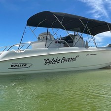 Boston Whaler 270 Dauntless