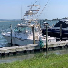 Pursuit 3400 offshore