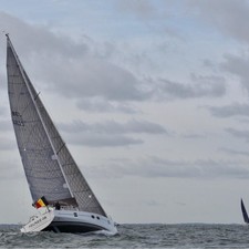 Azuree 46