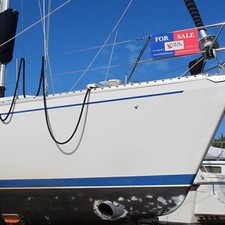 Catalina 400