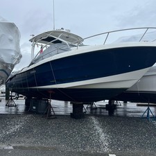 Hydra-sports 2800 vector wa