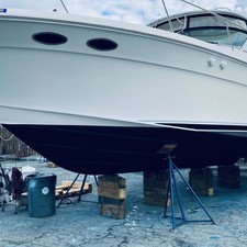 Sea Ray 37 Amberjack