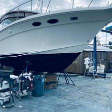 Sea Ray 37 Amberjack