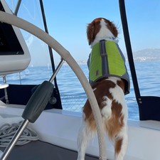 Sea Ray hunter viper 450