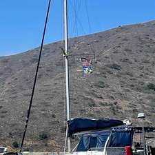 Sea Ray hunter viper 450