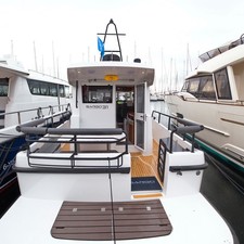 Sargo 31