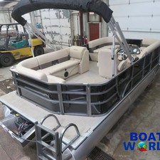 Bentley 200 fish