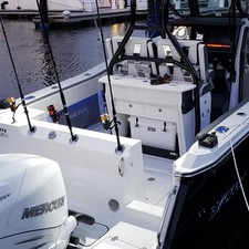 Blackfin 272CC