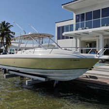 Intrepid 310 walkaround