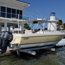 Intrepid 310 walkaround