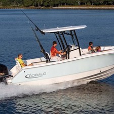 Robalo R230 Center Console
