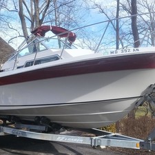 Wellcraft 290 Coastal