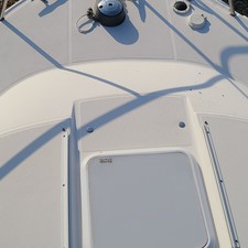 Wellcraft 290 Coastal